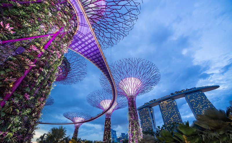 Singapore&#x27;s amazing Gardens by the Bay with the Marina Bay Sands Hotel providing the backdrop.
