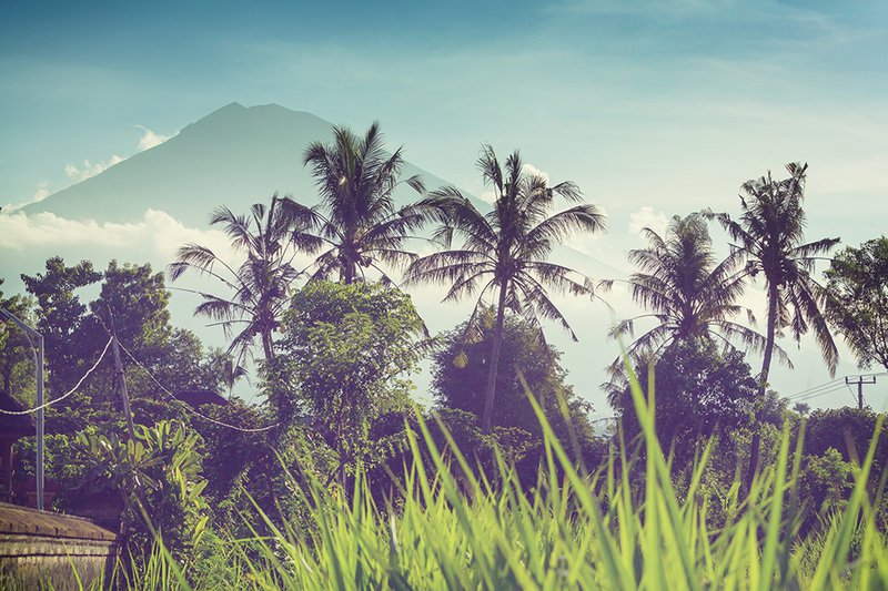 A beautiful backdrop in tropical Bali.
