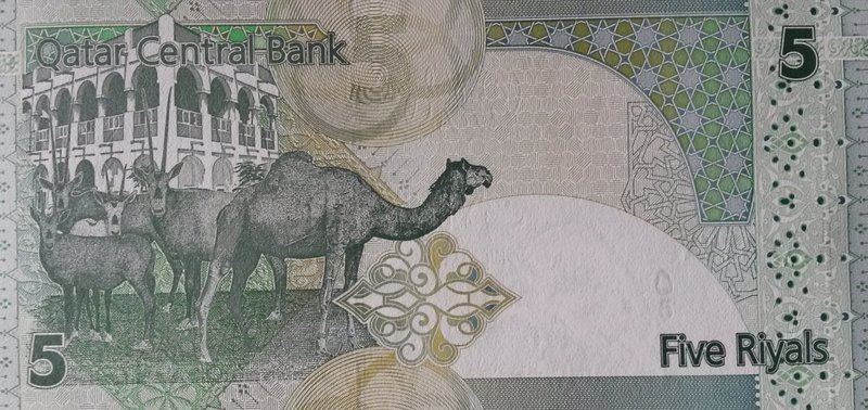 Qatari Riyals banknote featuring a camel and Arabic Oryx. (Image: oceandesetoiles)